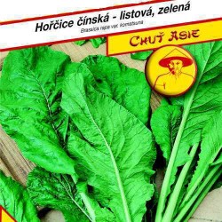 KOMATSUNA HOŘČICE ČÍNSKÁ listová 